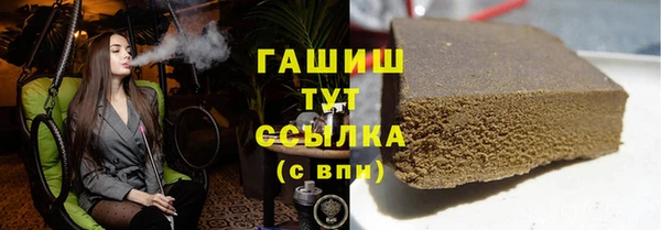гидра Бородино