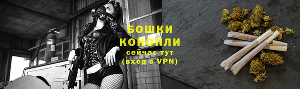 гидра Бородино