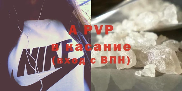 гидра Бородино