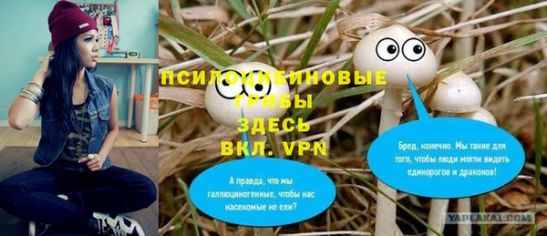 гидра Бородино