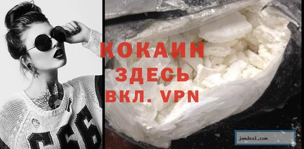 прущие грибы Верхний Тагил
