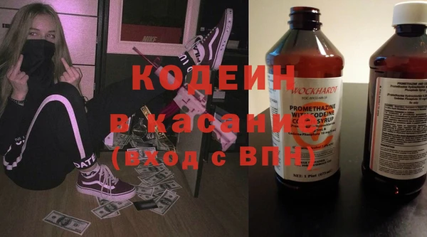 прущие грибы Верхний Тагил