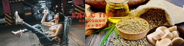 гидра Бородино