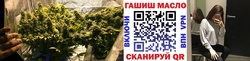 ТГК концентрат  кракен рабочий сайт  Кирсанов 