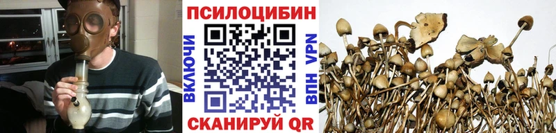 Галлюциногенные грибы мицелий Кирсанов